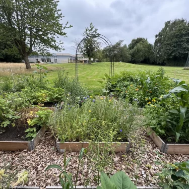 bluehender-Garten-im-Juli-5